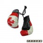Сувенир Боксерская перчатка Канада 2 шт/комплекте, цена за комплект