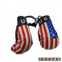 Сувенир Боксерская перчатка США 2 шт/комплекте, цена за комплект